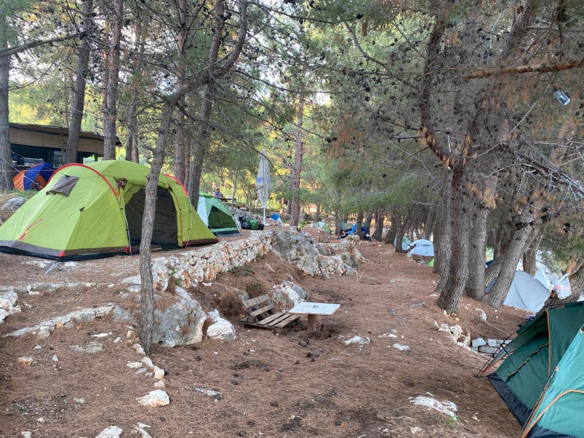 Hotel Pine Side Camp Himarë Exterior foto